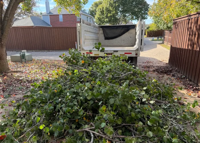 Yard Debris Removal McKinney TX