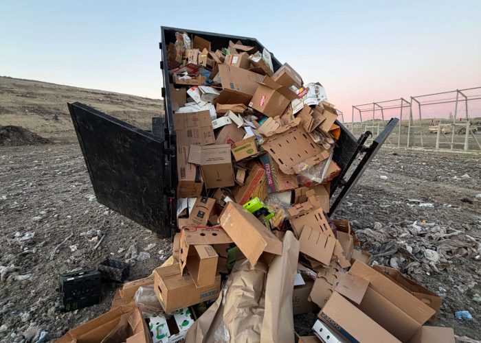 Eco-Friendly and Responsible Disposal