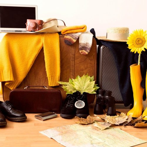 imgi_66_front-view-autumn-journey-elements-composition_23-2148634121